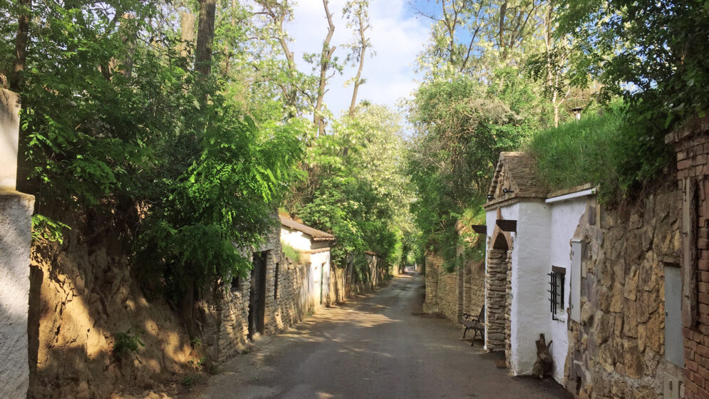 Die idyllische Hautzendorfer Kellergasse