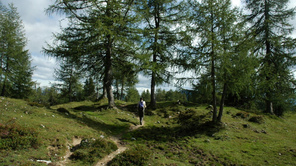 Wandern im Naturland Niederösterreich